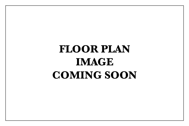 Image Coming Soon Placeholder